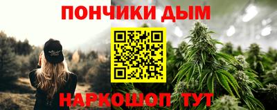 крисы Лесосибирск