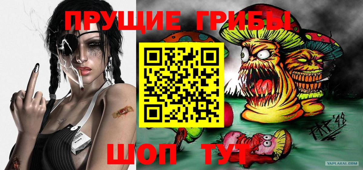 Галлюциногенные грибы Psilocybine cubensis Камышлов